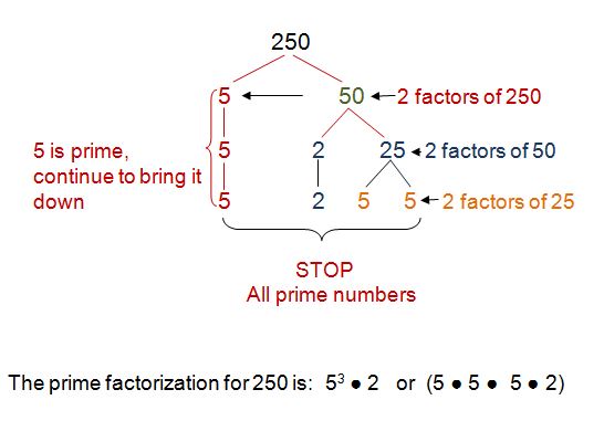 Factors of 2 - Find Prime Factorization/Factors of 2