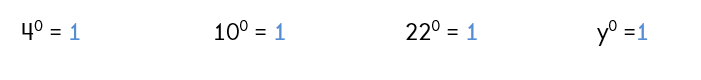 Monomials with an exponent of 0